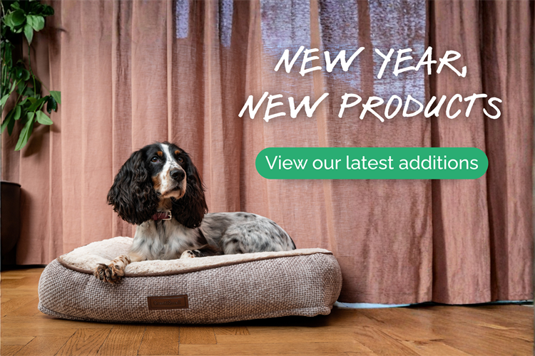 New Year New Products